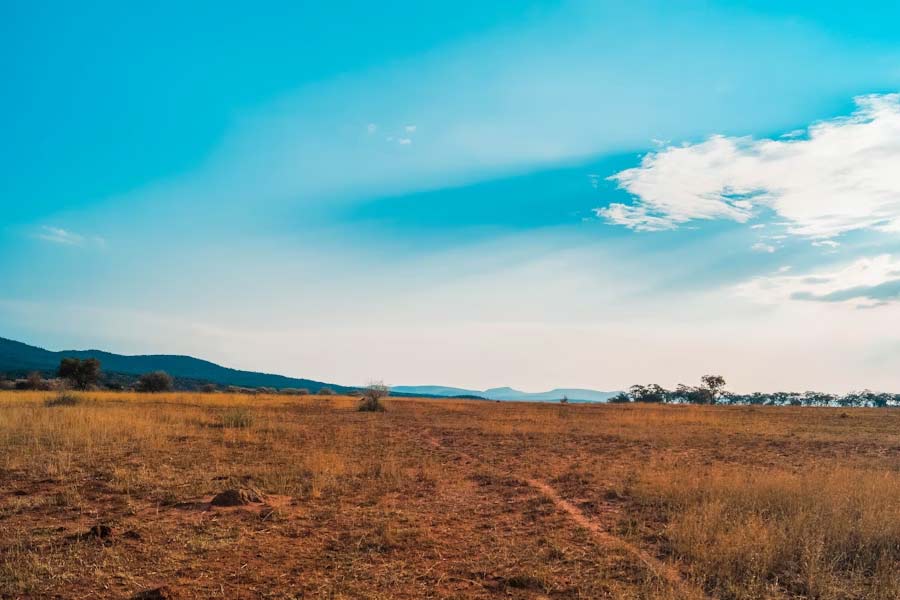 American doctor’s land sold by scammer without his knowledge