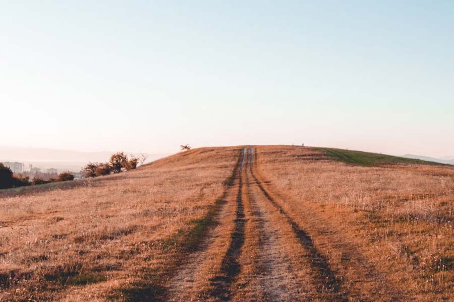 American doctor’s land sold by scammer without his knowledge
