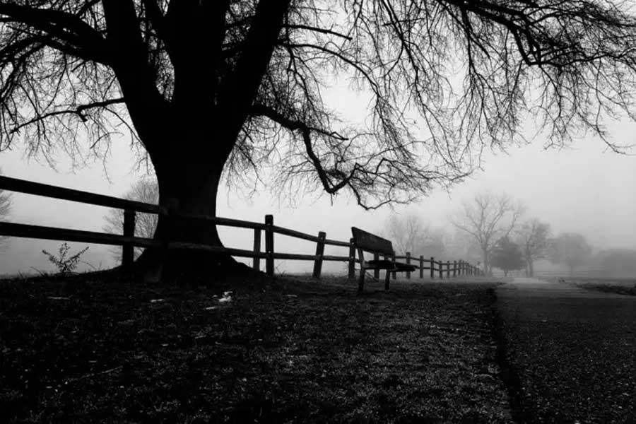 ২০১২ সালের ঘটনা। স্কুল চত্বরের মধ্যে চতুর্থ শ্রেণির দুই পড়ুয়ার দেহ উদ্ধার হয়। পড়ুয়াদের পরিবারের দাবি, মানসিক অত্যাচারের শিকার হয়ে নাকি দুই ছাত্র আত্মহত্যা করেছে। কিন্তু স্থানীয়দের একাংশের দাবি, এদের মৃত্যুর নেপথ্যে রয়েছে অশ্বারোহীর ‘প্রেতাত্মা’।