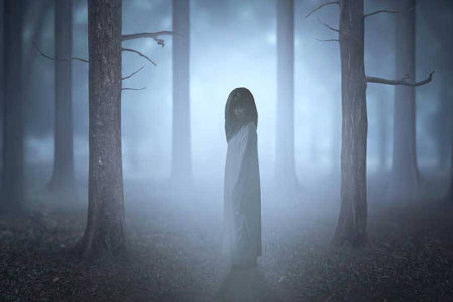 লোকমুখে শোনা যায়, কোনও শুক্রবার যদি ১৩ তারিখ পড়ে, তা হলে সে দিন স্কুলচত্বরের সামনে দিয়ে নাকি ঘুরে বেড়ায় এক ছায়ামূর্তি। অবয়ব দেখে মনে হয় ঘোড়ার উপর এক জন বসে রয়েছে, তবে তার মাথা কাটা।