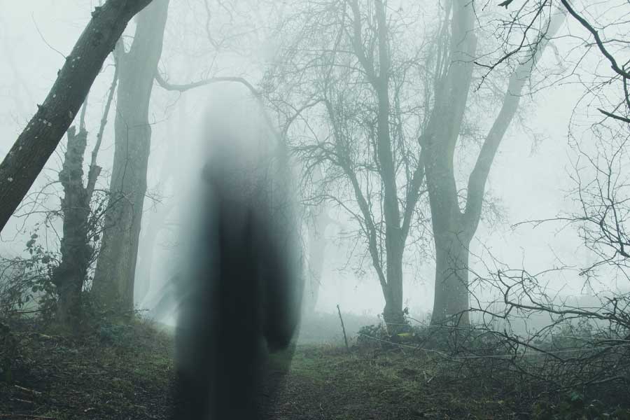 ছাত্রীদের সামনে গিয়ে নাকি ফুল নিবেদন করে ‘প্রেতাত্মা’। কোনও ছাত্রী ভয় পেয়ে ফুল না নিয়ে পালিয়ে গেলে নাকি অশ্বারোহীর ‘প্রেতাত্মা’র রোষের শিকার হয়। সঙ্গে সঙ্গে নাকি সেই ছাত্রীকে মেরে ফেলে সে।