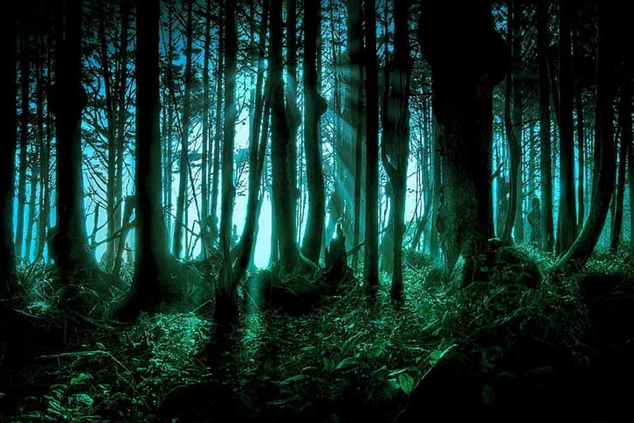 স্কুলের কর্মীরা নাকি একটি বাচ্চা মেয়েকে স্কুলের মাঠে দৌড়ে বেড়াতে দেখেন বলে দাবি। কিন্তু পরমুহূর্তেই সে কোথাও মিলিয়ে যায়। 