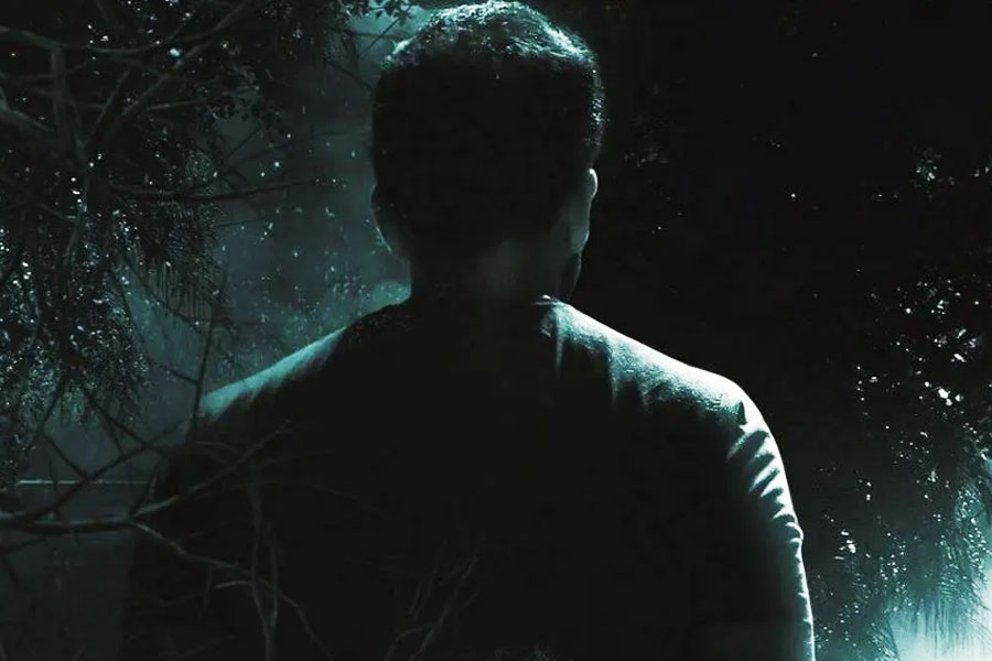 হঠাৎ অট্টালিকার উপরের তলা থেকে নাকি শব্দ শুনতে পান ওই পরিচারিকা। সঙ্গে সঙ্গে সিঁড়ি বেয়ে উপরে উঠে যান তিনি। একটি কালো ছায়ামূর্তিকে হাঁটাচলা করতে দেখতে পান তিনি। চোখের ভুল ভেবে আরও সামনের দিকে এগিয়ে যান ওই পরিচারিকা।