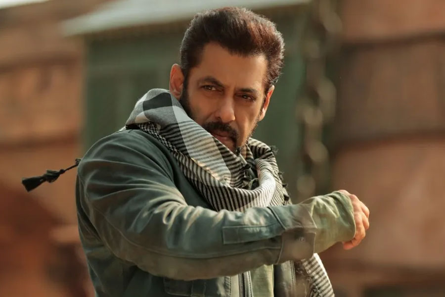 প্রতি সপ্তাহে দু’টি করে পর্ব সম্প্রচারিত হত ‘বিগ বস্’-এর ১৭তম সিজ়নে। অর্থাৎ, প্রতি সপ্তাহে এই রিয়্যালিটি শো থেকে ১২ কোটি টাকা উপার্জন করেন তিনি।