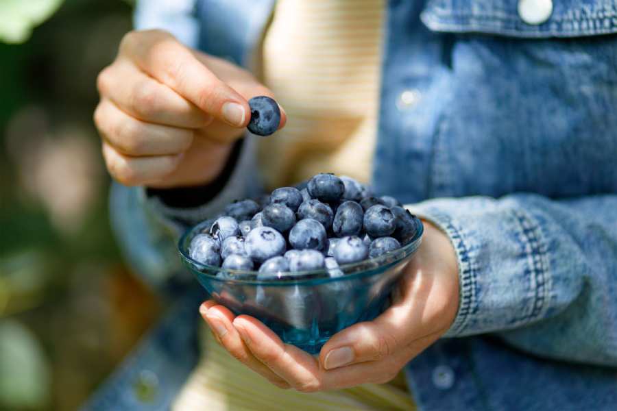 Best foods to improve brain health and memory