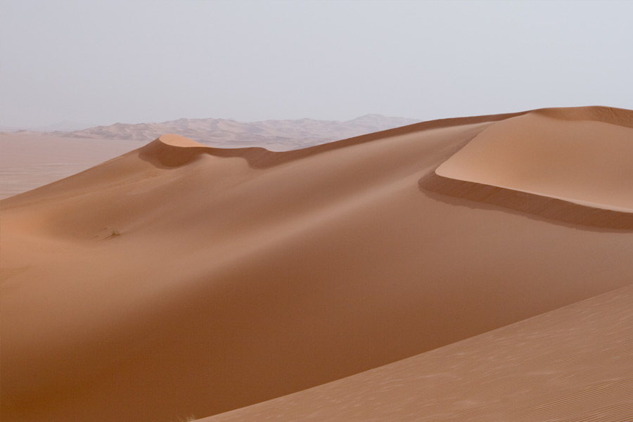 এখন তিনি বালির বিকল্প তৈরির খোঁজে। এই বিকল্প তৈরি না হলে বিপাকে পড়তে পারে গোটা পৃথিবী। রাষ্ট্রপুঞ্জের পরিবেশ প্রকল্প (ইউএনইপি) বলছে, গত দু’দশকে বালির চাহিদা আগের থেকে বেড়েছে তিন গুণ। ২০১৯ সালে পৃথিবীতে বালির চাহিদা ছিল পাঁচ হাজার কোটি টন।