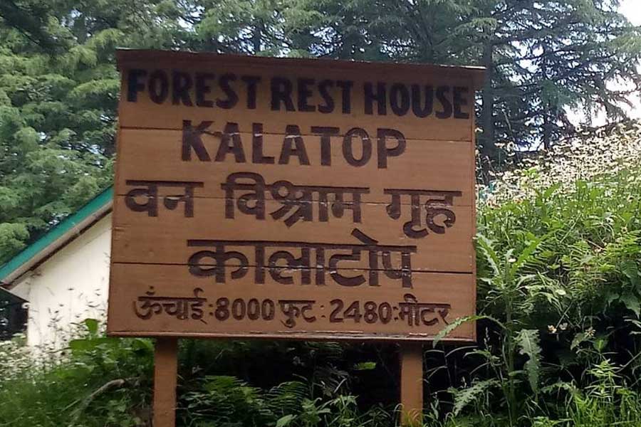 You can choose Khajjiar in Himachal Pradesh as travel destination to make all your Switzerland dreams come true