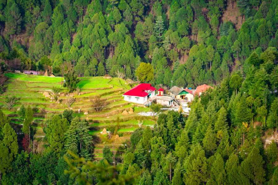 You can choose Khajjiar in Himachal Pradesh as travel destination to make all your Switzerland dreams come true