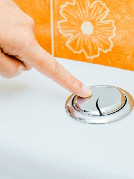 Reason behind two flush buttons on toilet dgtl