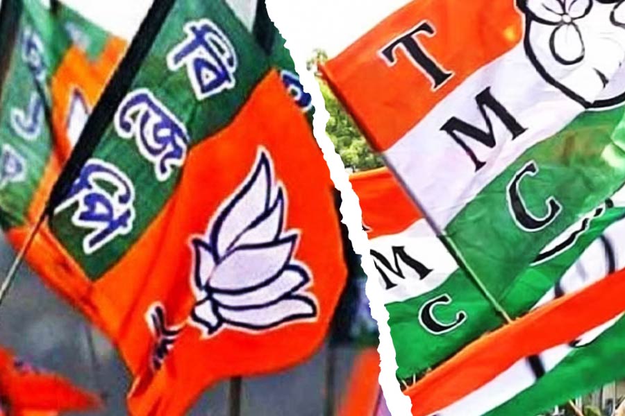 TMC slams BJP regarding election