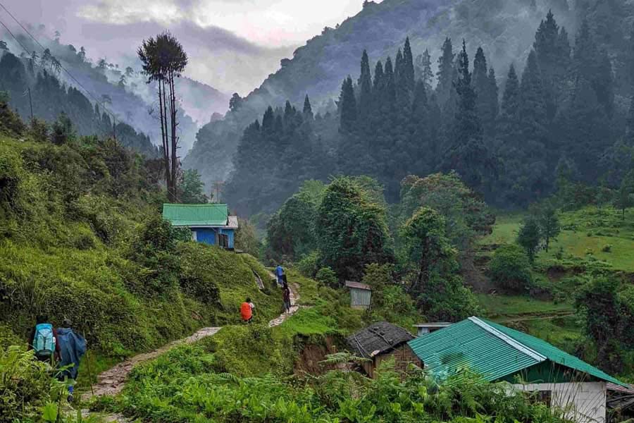 দার্জিলিং জেলার নৈসর্গিক এক ট্রেক পথ গোর্খে ।
