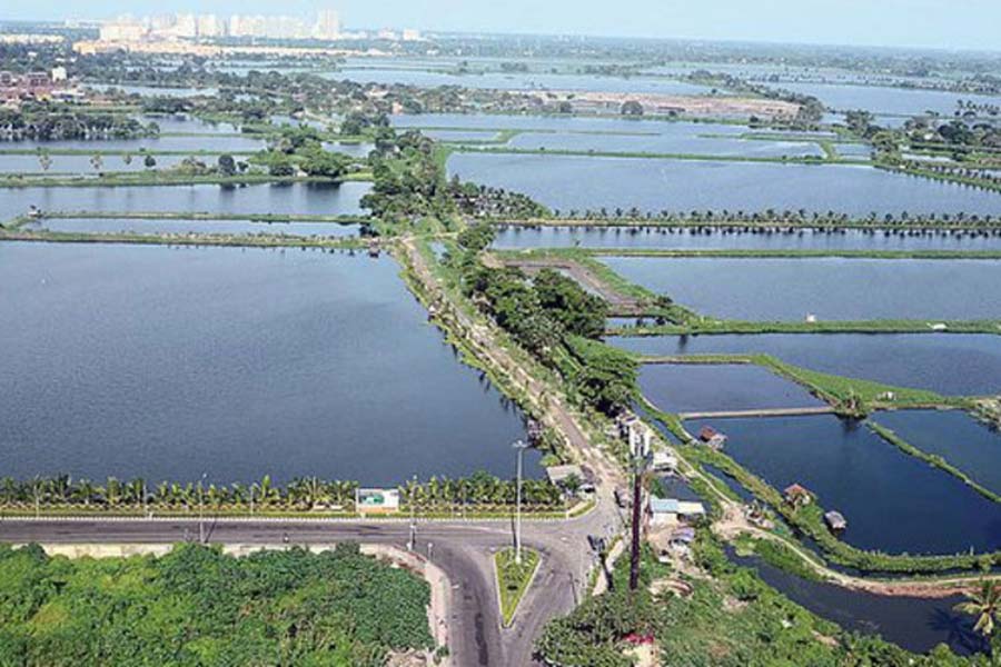 Complain rises over increase of hoardings in East Kolkata Wetlands
