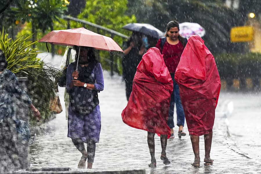 Temperature decreases 13.2 degree celcius in one day for rain in West Bengal dgtl