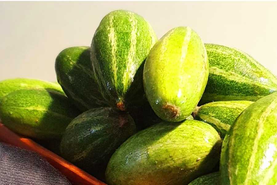 Surprising Health Benefits of Pointed Gourd