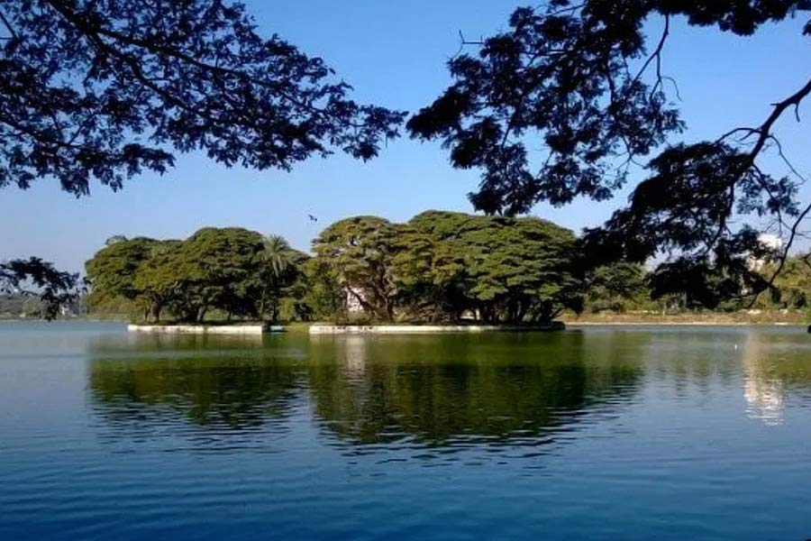 পেশায় ইঞ্জিনিয়ার। প্রকৃতির উপর ভালবাসা অগাধ। বুজে যাওয়া হ্রদ পুনরুদ্ধার করেন তিনি। পরিবেশ রক্ষার জন্য আরও সময় দিতে চাকরিও ‌ছেড়ে দেন আনন্দ মল্লিগভড়।