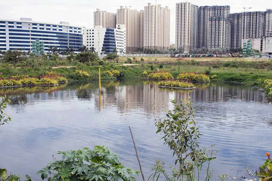 ২০১৭ সালে টাটা স্টিল সংস্থার তৎকালীন ভাইস চেয়ারম্যান বি মুথুরামনের সঙ্গে একটি সংস্থা গড়ে তোলেন আনন্দ। কলাসনহল্লি জলাশয় সংরক্ষণ করে তিনি প্রথম নিজের পরিচিতি তৈরি করেন।