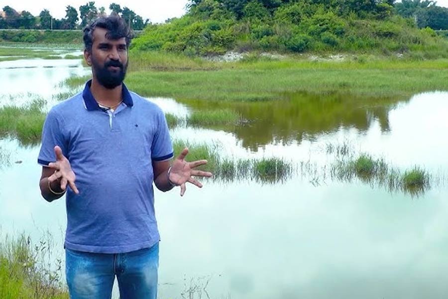 জলজ উদ্ভিদের পাশাপাশি অন্যান্য গাছ দিয়েও জলাশয়ের এলাকায় ছাউনি তৈরি করেন আনন্দ। তার পর বৃষ্টির জল জমে সেই জলাশয় আবার প্রাণ ফিরে পায়।