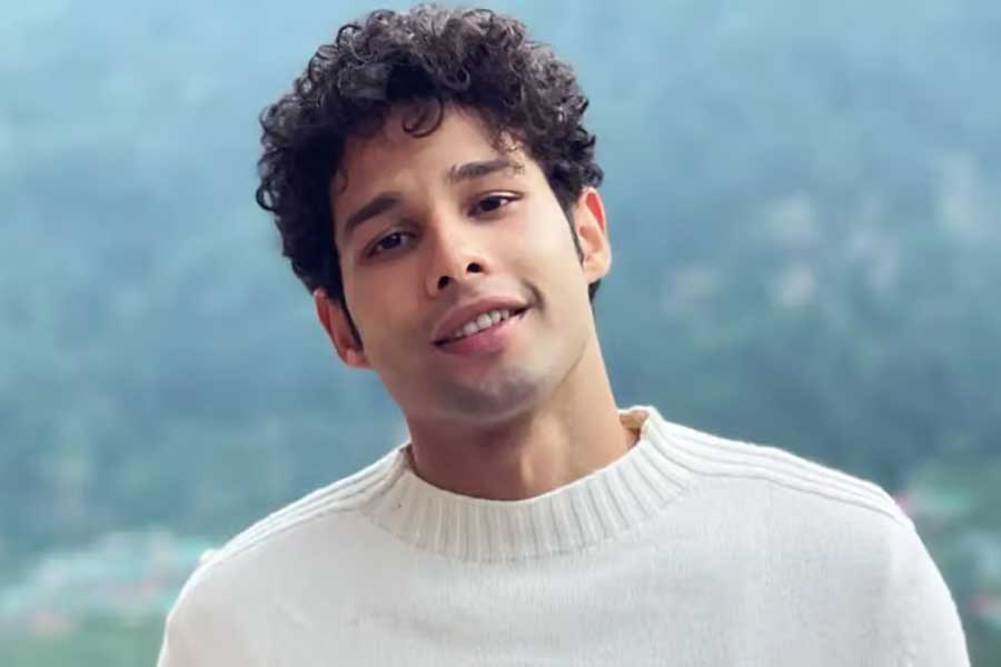 ‘গাল্লি বয়’ ছবিতে এমসি শেরের চরিত্র পর্দায় ফুটিয়ে তুলতে দেখা যায় সিদ্ধান্তকে। এই ছবির মাধ্যমেই বড় পর্দায় প্রথম অভিনয় করেছিলেন তিনি। তার পর ‘বান্টি অওর বাবলি ২’, ‘গেহরাইয়া’, ‘ফোন ভূত’ এবং ‘খো গয়ে হম কহাঁ’ নামের একাধিক হিন্দি ছবিতে অভিনয় করতে দেখা যায় তাঁকে।