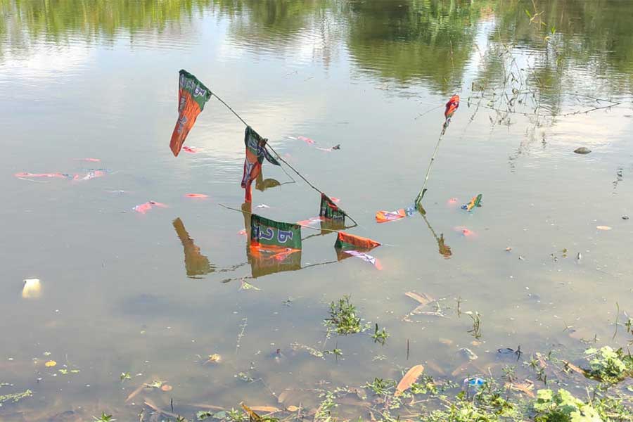 Lok Sabha Election 2024: BJp file complain against TMC for throwing their party flag in ponds