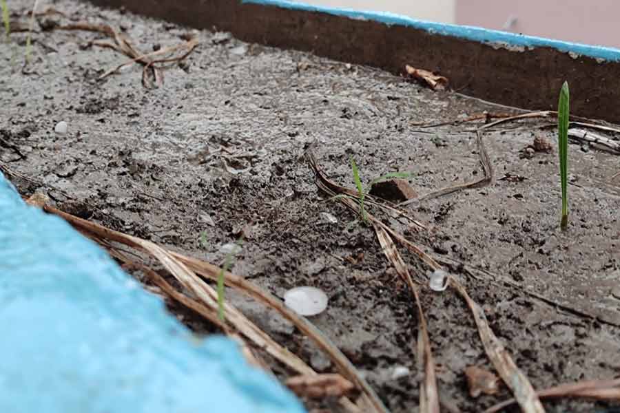 কলকাতার বিভিন্ন অংশে শিলাবৃষ্টি।