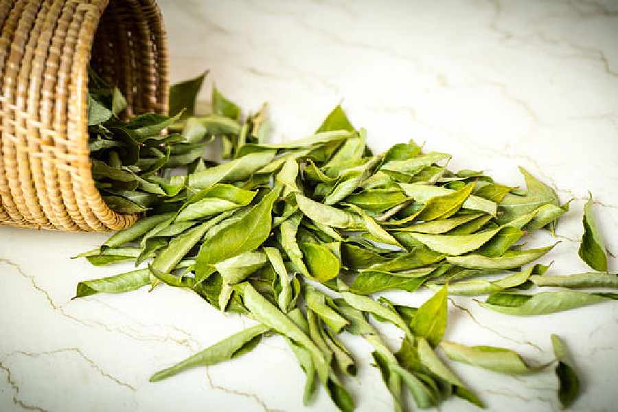 Five best ways to store curry leaves at home