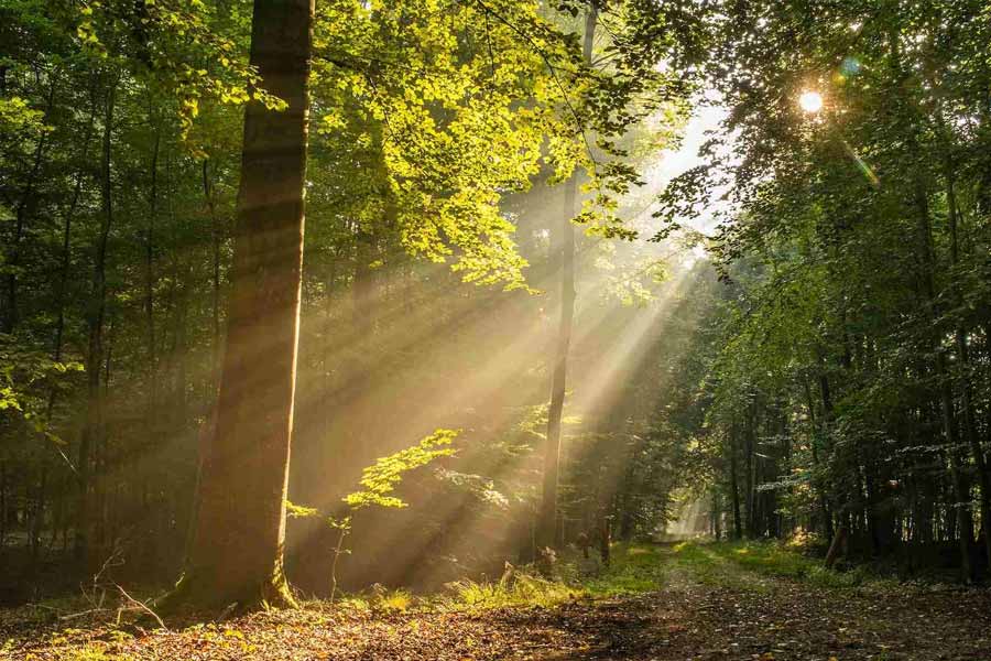 China is creating heat waves over the Pacific Ocean