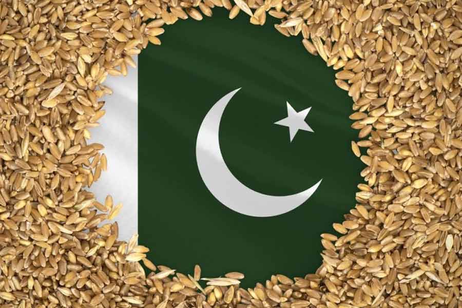 What is the Wheat Import Scam in Pakistan