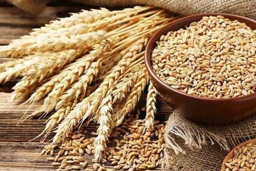 What is the Wheat Import Scam in Pakistan
