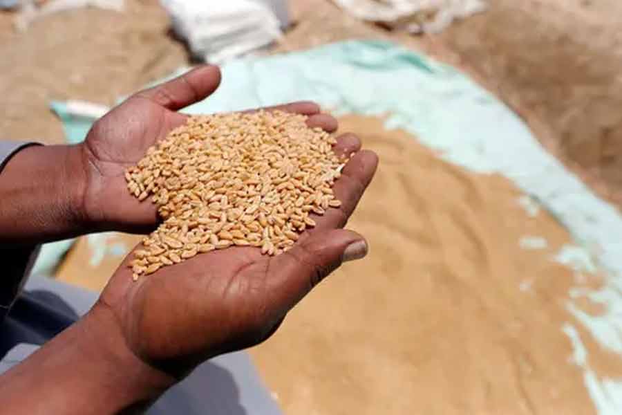 What is the Wheat Import Scam in Pakistan