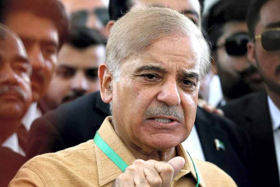 What is the Wheat Import Scam in Pakistan