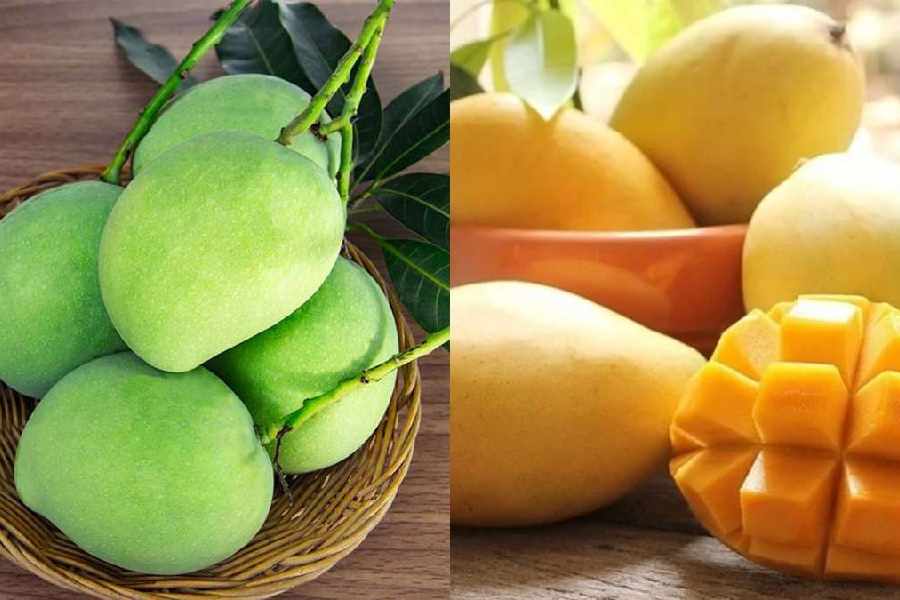 Between raw and ripe mangoes which is better for health