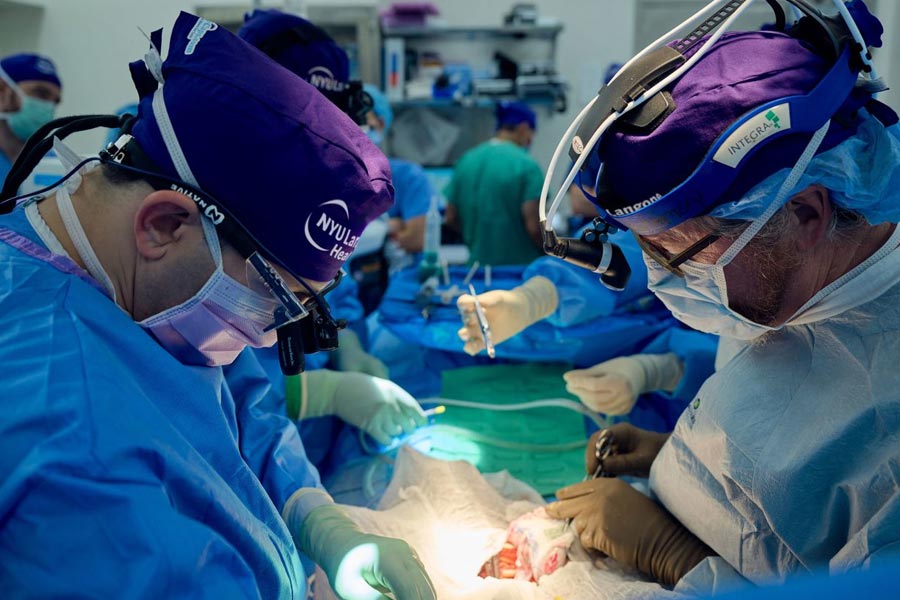 First Person to receive Pig kidney transplant dies after two month