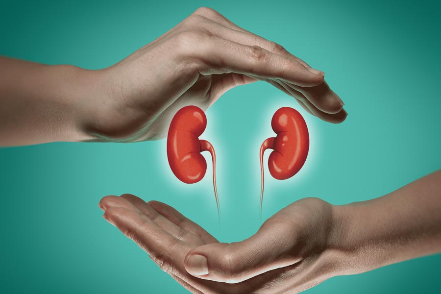 First Person to receive Pig kidney transplant dies after two month