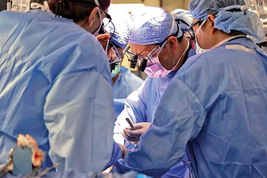 First Person to receive Pig kidney transplant dies after two month