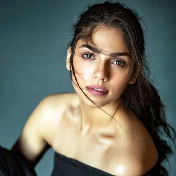 Sharmin Segal