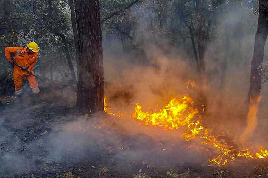 Supreme Court\\\\\\\'s tough words for centre and Uttarakhand over forest fires