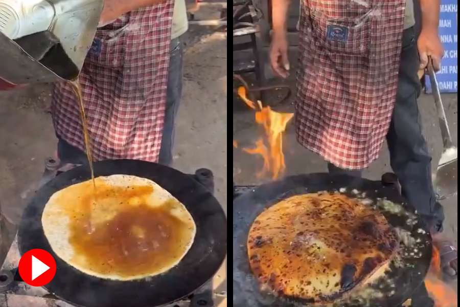 the viral diesel paratha recipe is actually not made from diesel food blogger applogizes dgtl