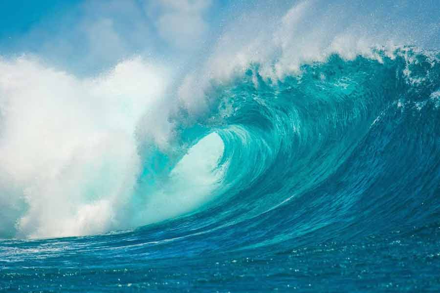 বিশ্ব উষ্ণায়নই আবহাওয়ার এই চরিত্রবদলের মূল, বলছেন আবহবিদেরা। তবে বিশ্ব উষ্ণায়নের প্রভাব শুধু স্থলে নয়, পড়ছে জলের উপরেও। দিন দিন আরও উষ্ণ হয়ে উঠছে সমুদ্র। যা বিপদ ডেকে আনছে প্রাণিজগতে। 