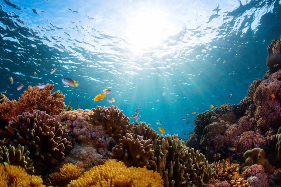 আমেরিকার সরকারি সংস্থা ন্যাশনাল ওশানিক অ্যান্ড অ্যাটমোস্ফেরিক অ্যাডমিনিস্ট্রেশন (এনওএএ) জানিয়েছে, শুধু পাঁচ দিন নয়, এই তাপপ্রবাহ কয়েক সপ্তাহ, কয়েক মাস, এমনকি কয়েক বছর পর্যন্ত চলতে পারে।