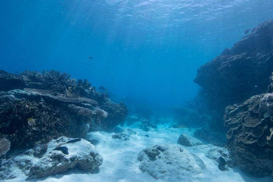 স্বাভাবিক তাপমাত্রার চেয়ে তিন থেকে চার ডিগ্রি বৃদ্ধি মানুষের কাছে সামান্য মনে হতে পারে, কিন্তু সামুদ্রিক প্রাণীর ক্ষেত্রে এই বৃদ্ধি অপরিসীম এবং অসহনীয়। তাপপ্রবাহে প্রচুর মাছ এবং অন্যান্য জলজ প্রাণীর মৃত্যু হয়। যা ডাঙায় মানুষের জন্যও বিপদ ডেকে আনে। 
