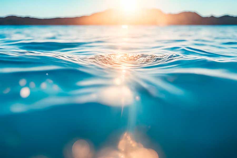 নেচার কমিউনিকেশন জার্নালে প্রকাশিত প্রতিবেদন অনুযায়ী, উত্তর মহাসাগরে ২০১৫ সাল থেকে ২০২২ সাল পর্যন্ত টানা সাত বছর তাপপ্রবাহ চলেছে। ২০০৭ থেকে এই তাপপ্রবাহের সংখ্যা অন্তত ১১টি। প্রতি ক্ষেত্রে সমুদ্রের তাপ বৃদ্ধির গড় স্বাভাবিকের চেয়ে ২.২ ডিগ্রি সেলসিয়াস। 