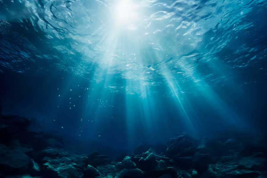 সামুদ্রিক তাপপ্রবাহের চলতি বছরের পরিসংখ্যান এখনও হাতে আসেনি। তবে গরম এ বছর অন্যান্য বারের তুলনায় অনেক বেশি। সে ক্ষেত্রে সমুদ্রে তাপের দাপটও আগের নজির ভেঙে দেবে বলে আশঙ্কা বিজ্ঞানীদের। 