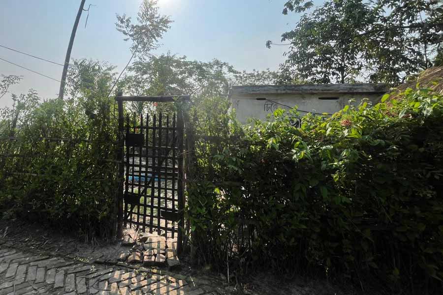 বাঁশের বেড়া দিয়ে ঘেরা বাড়ি। 