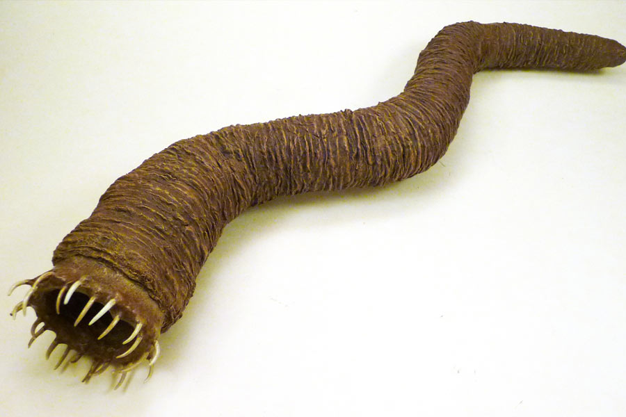 Know all about Mongolian death worm