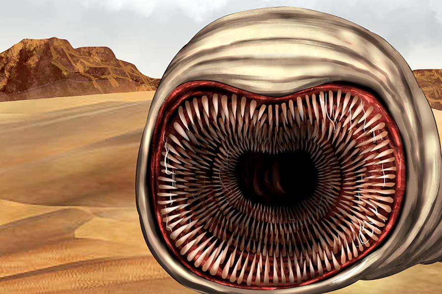 Know all about Mongolian death worm