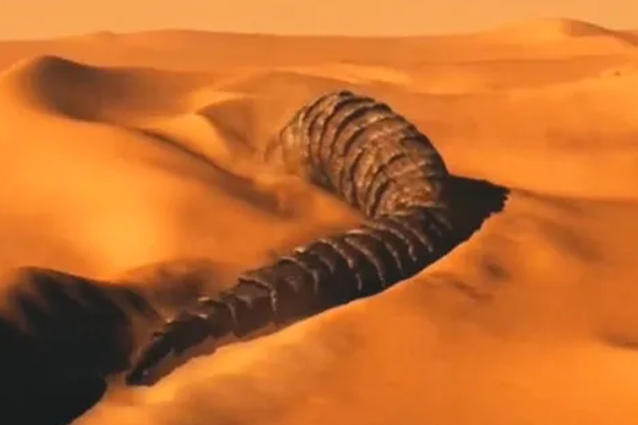 Know all about Mongolian death worm