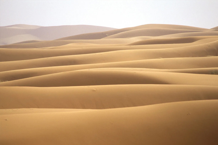 Know all about Mongolian death worm