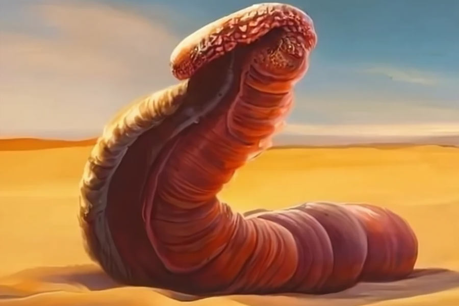 Know all about Mongolian death worm