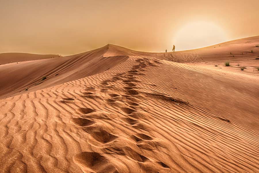 Know all about Mongolian death worm