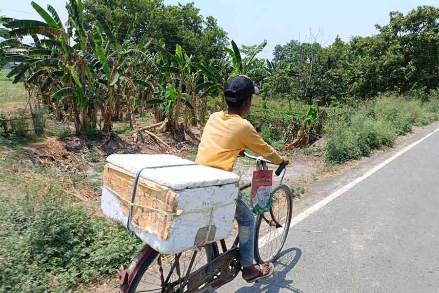 আইসক্রিম বিক্রি করছে এক খুদে। হরিহরপাড়ায়।